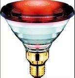 Lâmpada de Fisioterapia Infravermelho 150W para Dores Musculares 110V - Mrw