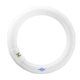Lâmpada Fluorescente Circular Bivolt 22w T9 BRASFORT-8381