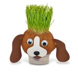 Lembrancinha Ecológica Cachorro Pingo Horta e Jardim - Festabox