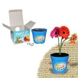 Lembrancinha Ecológica Flores do Campo - Festabox