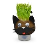 Lembrancinha Ecológica Gatinho Fred Horta e Jardim - Festabox
