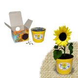 Lembrancinha Ecológica Girassol - Festabox
