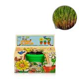Lembrancinha Ecológica Kit Vamos Plantar Alpiste - Festabox