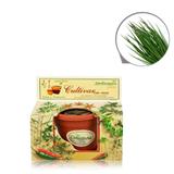 Lembrancinha Ecológica Kit Vamos Plantar Cebolinha - Festabox