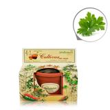 Lembrancinha Ecológica Kit Vamos Plantar Salsinha - Festabox