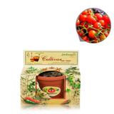 Lembrancinha Ecológica Kit Vamos Plantar Tomatinho - Festabox