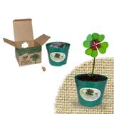 Lembrancinha Ecológica Trevo de 4 folhas - Festabox