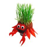 Lembrancinha Ecológica Zico Horta e Jardim - Festabox