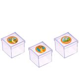 Lembrancinha Mini Caixa de Acrílico A Guarda do Leão 10 unidades - Festabox