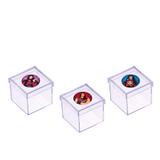 Lembrancinha Mini Caixa de Acrílico Descendentes 10 unidades - Festabox