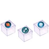 Lembrancinha Mini Caixa de Acrílico Festa Lhama 10 unidades - Festabox