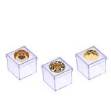 Lembrancinha Mini Caixa de Acrílico Safári 10 unidades - Festabox
