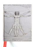 Leonardo da Vinci: Vitruvian Man (Luxury Sketch Book) - Flame tree publishing