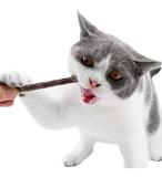 Limpa Dente Gato Ajuda Tartaro Saude Bucal Matatabi - Pet import