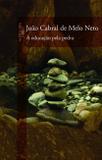 Livro - A educação pela pedra