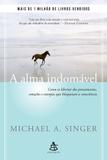 Livro - alma indomável, A