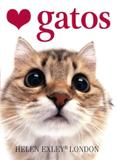 Livro - Amo gatos