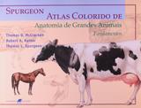 Livro - Atlas Colorido de Anatomia de Grandes Animais - Fundamentos