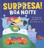 Livro - Boa noite : Surpresa!