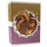 Livro Caixa Pet Pop Esquilo - 30cm x 20cm x 7cm - Trevisan Concept