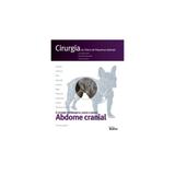 Livro - Cirurgia na Clínica de Pequenos Animais - Abdome Cranial - Gomes - Medvet