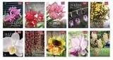 Livro - Coleção Rubi - Orquídeas da Natureza