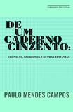 Livro - De um caderno cinzento