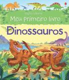 Livro - Dinossauros : Meu primeiro livro