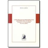Livro - Exploracao Infra. Aeroportuario No Brasil,A- 01Ed/ - Contracorrente