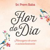 Livro - Flor do dia
