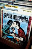 Livro - Garota imperfeita