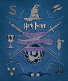 Livro - Harry Potter: O livro dos artefatos mágicos - O livro dos artefatos mágicos