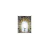 Livro - Novas colônias espirituais - Madras