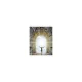 Livro - Novas colônias espirituais - Madras