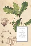 Livro - O homem que plantava árvores