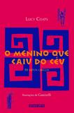 Livro - O menino que caiu do céu