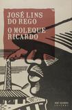 Livro - O moleque Ricardo