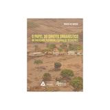 Livro - O Papel do Direito Urbanístico na Sociedade Potencializadora de Desastres - Amaral - Appris editora