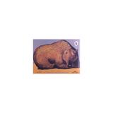 Livro - O Urso Que Queria Ser Pai - Erlbruch - Companhia das letras