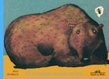 Livro - O urso que queria ser pai