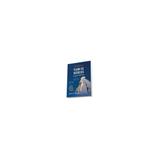 Livro - Plano de Negócios - Dornelas - Florence