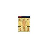 Livro - Resumão Anatomia de Superfície