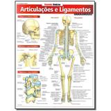 Livro - Resumao Medicina - Articulacoes E Ligamentos - Ava