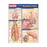 Livro - Resumão Sistema Respiratório - França