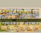 Livro - São Chiquinho ou o rio quando menino