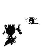 Livro - Sombra (Nova edição)