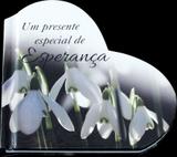 Livro - Um presente especial de esperança