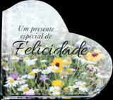 Livro - Um presente especial de felicidade
