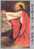 Livro vigiai e orai - Armazem