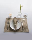 Lugar Americano Toscana Florença Bege 30 x 45 cm Corttex